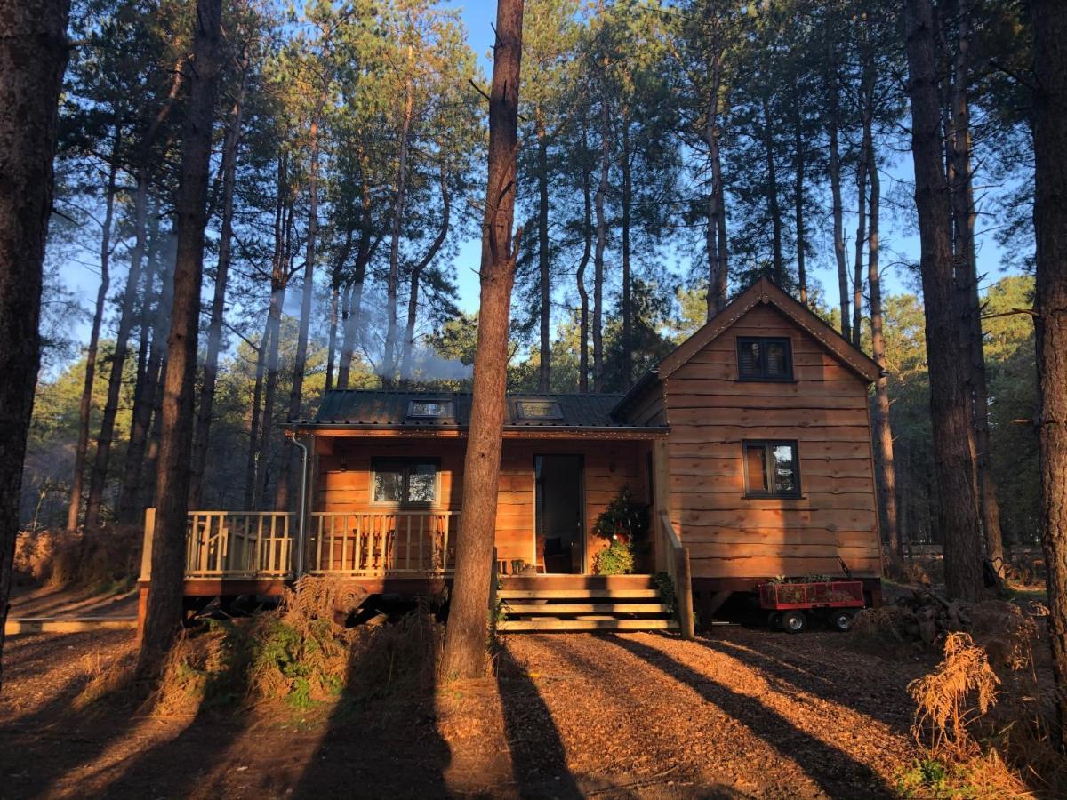 Keepers Cabin - Hot Tub King's Lynn Exterior photo